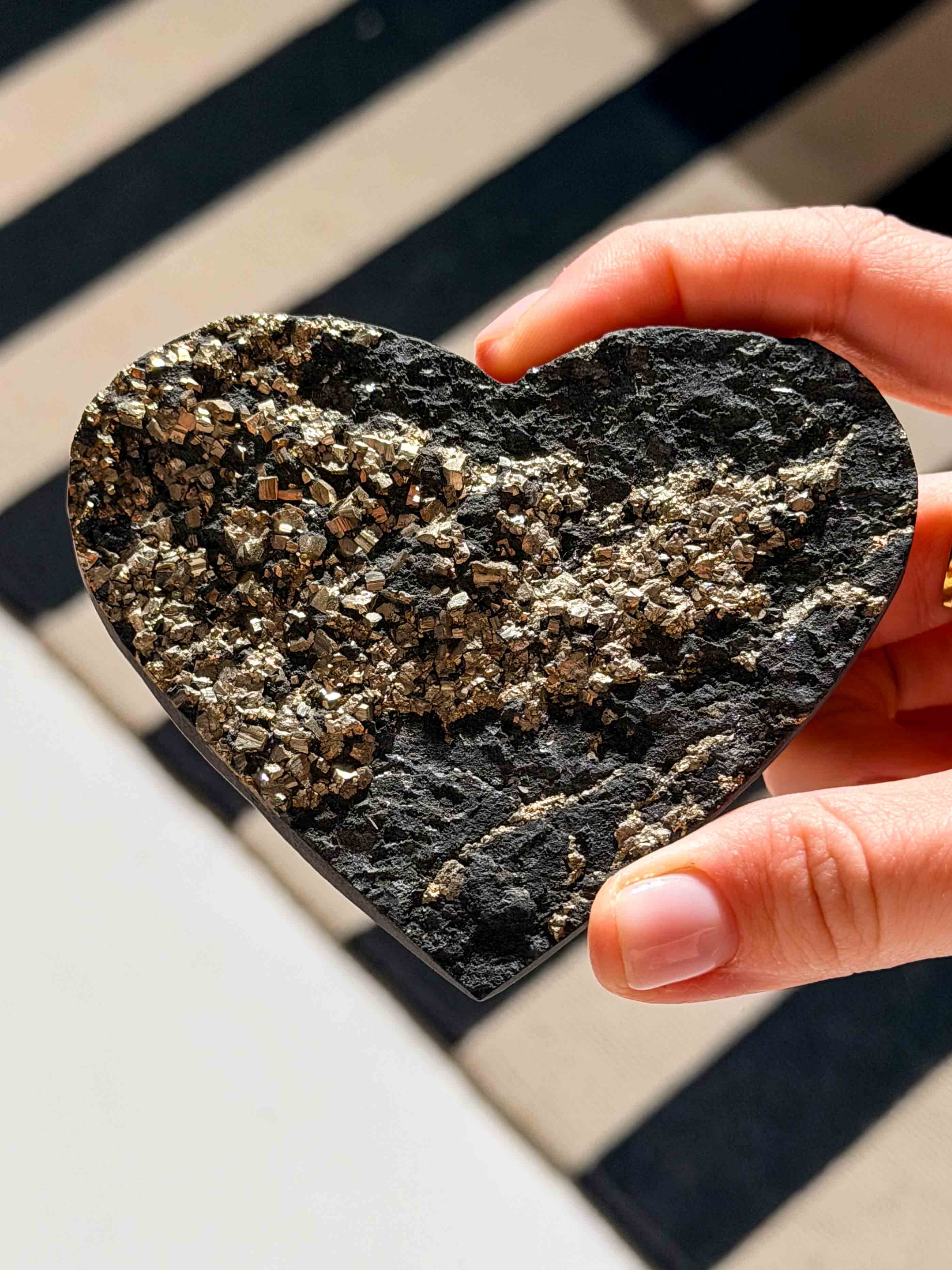 Νέες Αφίξεις