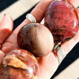 Απολιθωμένο Ξύλο Palm Stone