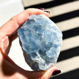 Σελεστίνης 06