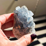 Σελεστίνης 09