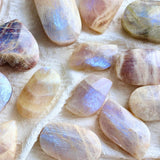 Φεγγαρόπετρα Palm Stone