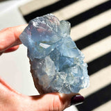 Σελεστίνης 08