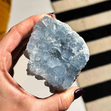 Σελεστίνης 05