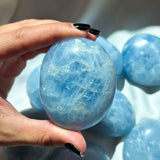 Αγγελίτης Palm Stone