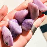 Λεπιδολίτης