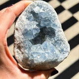 Σελεστίνης 01