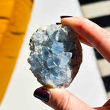 Σελεστίνης 015