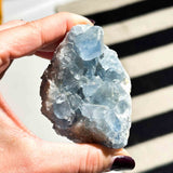 Σελεστίνης 012