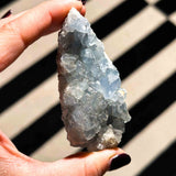 Σελεστίνης 03