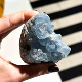 Σελεστίνης 013