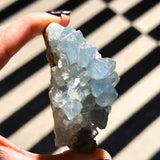 Σελεστίνης 04