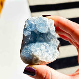 Σελεστίνης 014