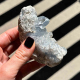 Σελεστίνης 02