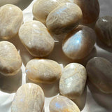 Φεγγαρόπετρα Palm Stone