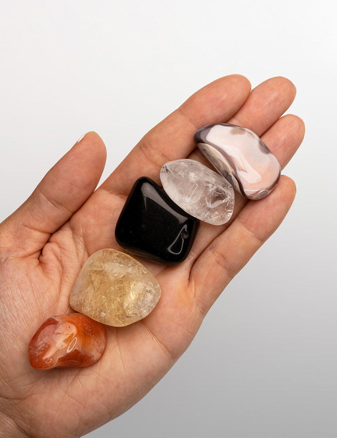Λέων Crystal Kit