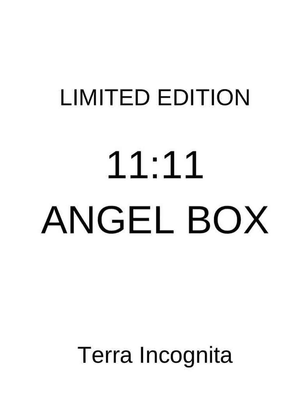 11:11 Angel Box